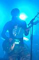 WedCCRagweed 051